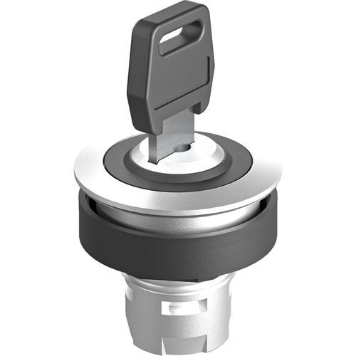 钥匙锁闭型切换开关 - RONTRON-R-JUWEL RRJSSA12 - Georg Schlegel GmbH & Co. KG - IP65 / 不发光 / 控制