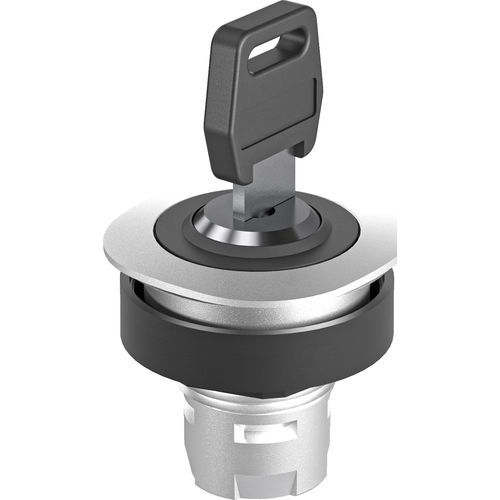 钥匙锁闭型切换开关 - RONTRON-Q-JUWEL RQJSSA12 - Georg Schlegel GmbH & Co. KG - IP65 / 用于面板 / 发光