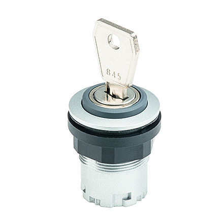 钥匙锁闭型切换开关 - RONDEX-JUWEL® JRMSSA12E - Georg Schlegel GmbH & Co. KG - IP65 / 用于面板 / 不发光