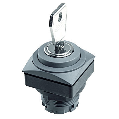 钥匙锁闭型切换开关 - QUARTEX®-R-JUWEL QRJSSA12E - Georg Schlegel GmbH & Co. KG - IP65 / 用于面板 / 不发光