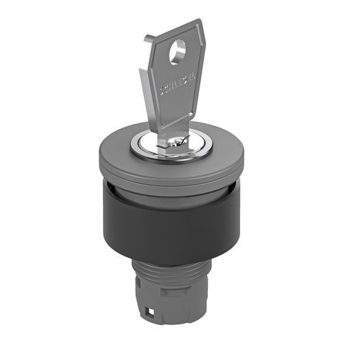钥匙锁闭型切换开关 - RX-JUWEL RXJSSA12E - Georg Schlegel GmbH & Co. KG - IP65 / 用于面板 / 不发光