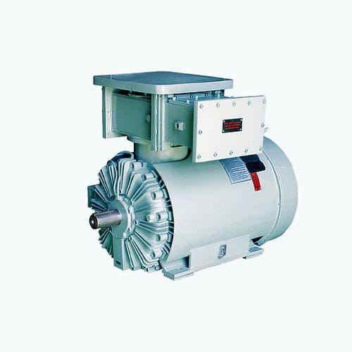 异步电机 - CG Power Systems - 交流 / 双相 / 6000V