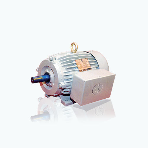 异步电机 - CG Power Systems - 交流 / 80V / 铸铁框架