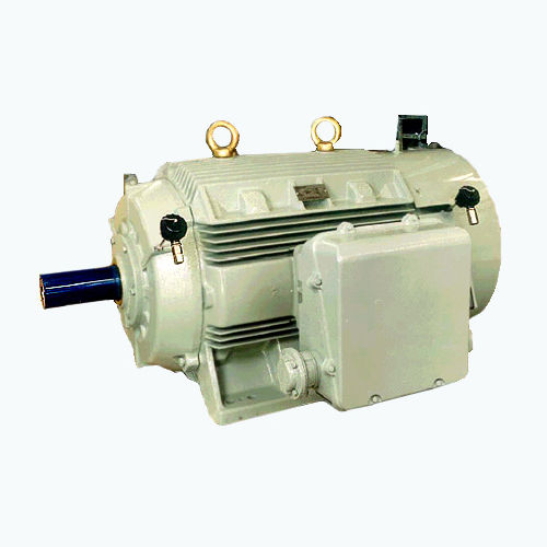 异步电机 - CG Power Systems - 交流 / 100V / 鼠笼式