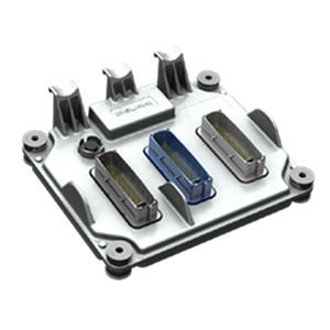 电动车电机控制器 - BORG WARNER - 数字输入 / 集成式