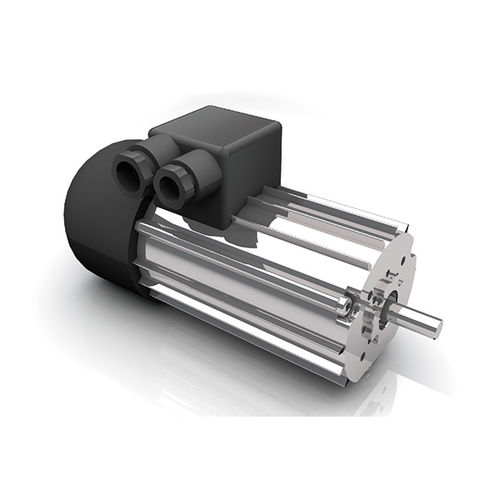 交流电机 - DR 62.0x80-2 - Dunkermotoren GmbH - 三相 / 400V / 2极