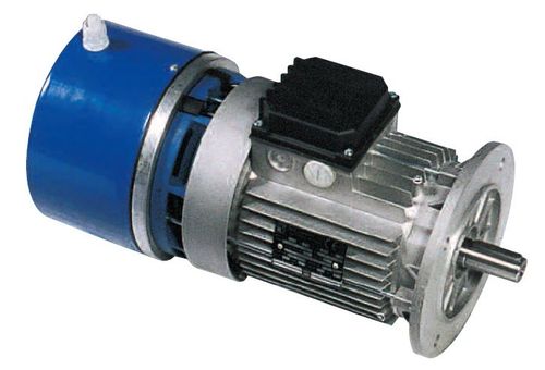 异步电机 - SMI series - M.G.M. Motori Elettrici S.p.A./意大利MGM - 交流 / 60V / 铝制框架