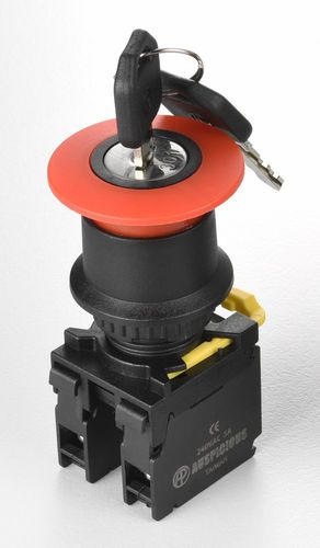 钥匙型开关 - A2EKS series - Auspicious Electrical Engineering Co., Ltd. - 单极 / IP65 / 封闭式