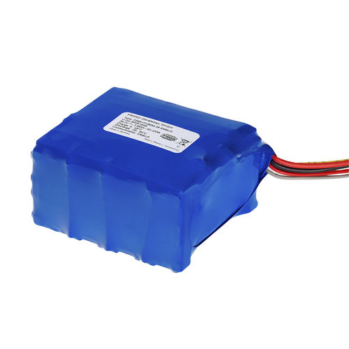 锂离子电池 - 8SxP - FRIWO Gerätebau GmbH - 定制 / 3V / 高性能