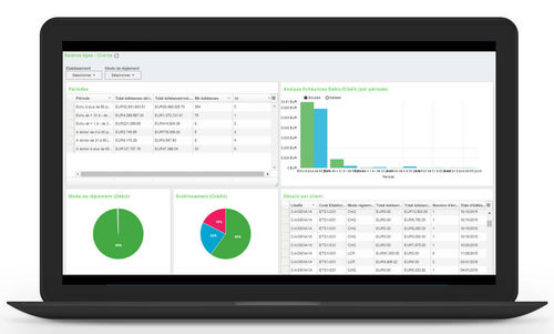 管理软件 - Sage FRP 1000 Comptabilité - Sage bäurer GmbH - 安全 / 追踪 / 财务会计