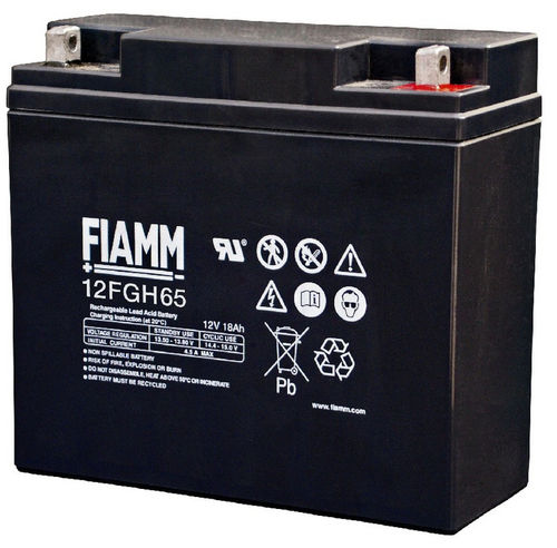 AGM电池 - FGH series - FIAMM - 模块 / 12V