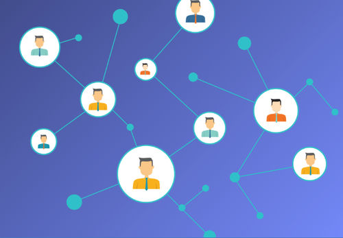 管理软件 - InfoSphere® Identity Insight - IBM - 分析 / 接口 / 服务器