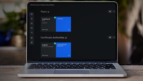 管理软件 - Support for Hyperledger Fabric - IBM - 开发 / 测试 / 网络