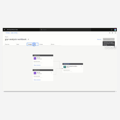 分析软件 - Data governance - IBM - 监控 / 质量 / 自动化