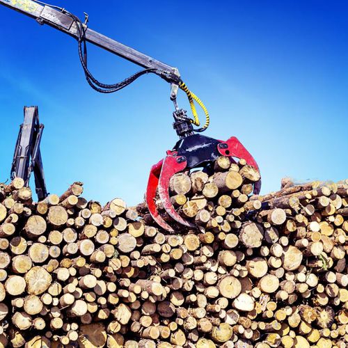嵌入式称重系统 - TAMTRON TIMBER - Tamtron
