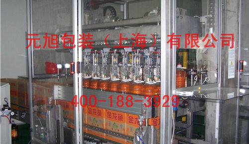 取放型装箱机 - Yuanxu Packing(shanghai) Machinery Co., LTD - 顶部装载 / 自动 / 瓶子