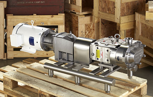 凸轮转子泵 - ZP3  - Ampco Pumps - 用于饮料 / 油 / 电动