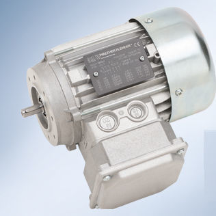 EC电机 - Walther Flender - 400V / ATEX / 防爆燃