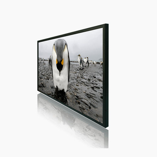 液晶显示器 - 2706-A series - Litemax Electronics Inc. - TFT / LED背光 / 工业