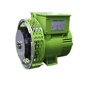 三相交流发电机 - N2 series - Guangzhou ENGGA Generators Co., Ltd - 无刷 / PMG / 低电压