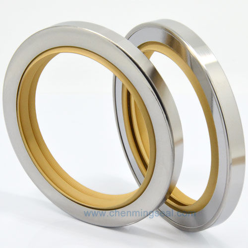 唇密封 - CTL series - Ningbo Chenming Seals Manufacturing Co., Ltd. - PTFE / 环形 / 泵用