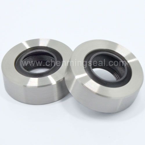 唇密封 - CTL series - Ningbo Chenming Seals Manufacturing Co., Ltd. - 不锈钢 / PTFE / 环形