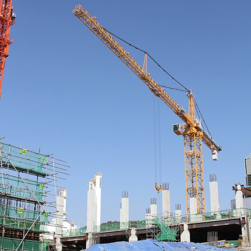 固定式起重机 - 1250 HC 50 - Liebherr Cranes/利勃海尔 - GME / 矿用 / 船坞