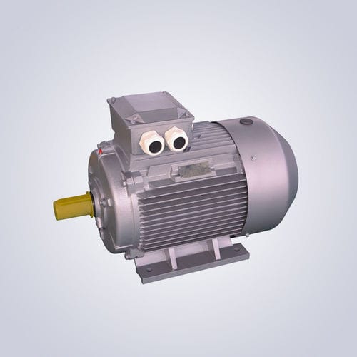 低电压电机 - YE5 Series H80-355 - Jiangsu Dazhong Electric Motor CO., Ltd - 异步 / 三相 / IE5