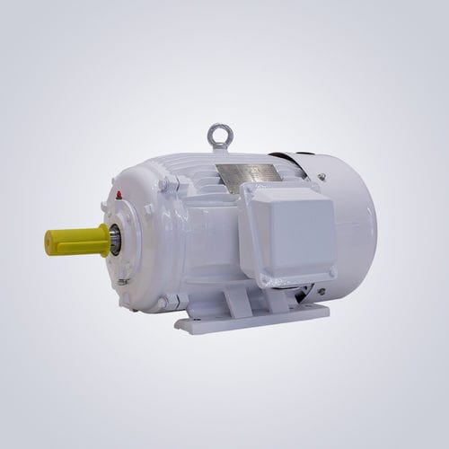 NEMA电机 - NEMA D-Series-213T~449T - Jiangsu Dazhong Electric Motor CO., Ltd - 异步 / 三相 / 460 V