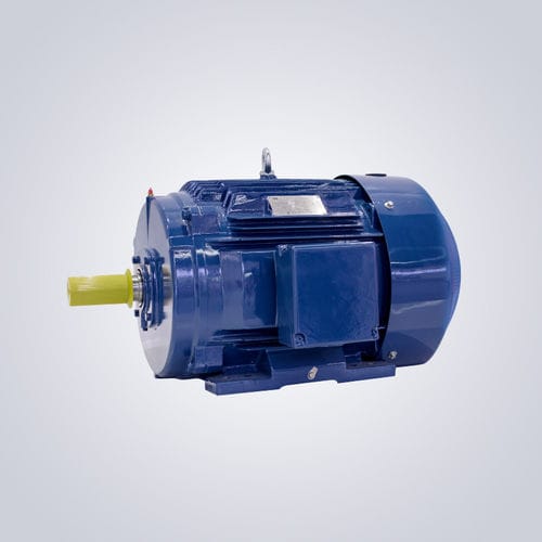 NEMA电机 - NEPM-Series 143T~449T (TC, TS) - Jiangsu Dazhong Electric Motor CO., Ltd - 异步 / 三相 / 380V
