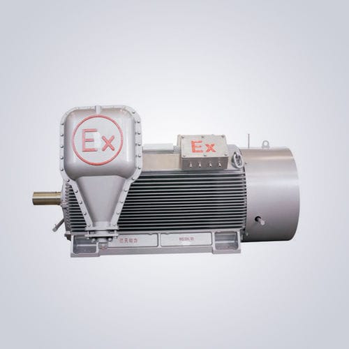 高压电动机 - YB2 - Jiangsu Dazhong Electric Motor CO., Ltd - 异步 / 三相 / 6000V