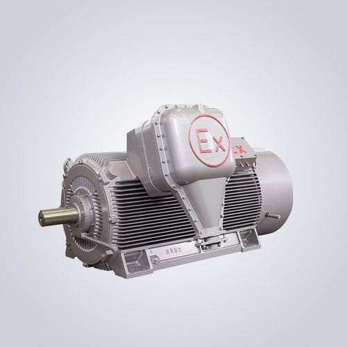 高压电动机 - YBKS - Jiangsu Dazhong Electric Motor CO., Ltd - 异步 / 三相 / 6000V