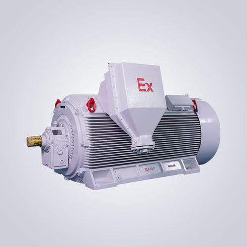 防火花电机 - Y2W - Jiangsu Dazhong Electric Motor CO., Ltd - 异步 / 三相 / 6000V