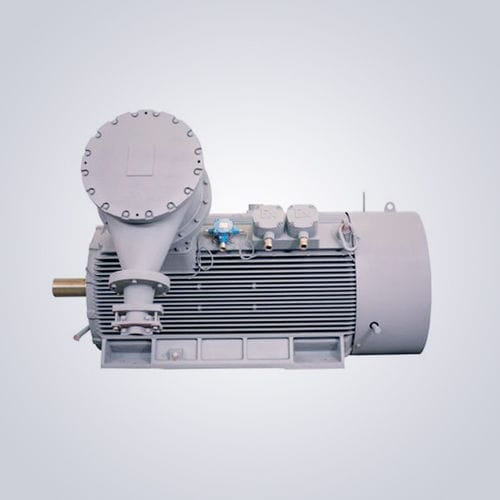 低速电机 - TYCPX series - Jiangsu Dazhong Electric Motor CO., Ltd - 同步 / 三相 / 6000V
