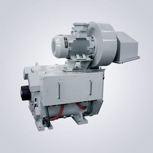 并绕电机 - HJ08 - Jiangsu Dazhong Electric Motor CO., Ltd - 同步 / 直流 / 防爆燃