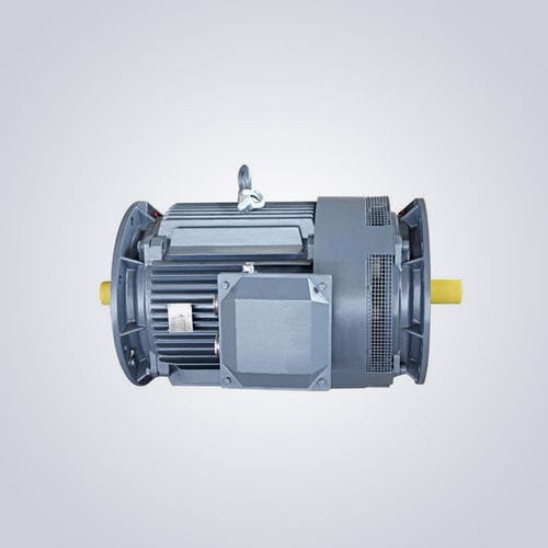 海洋应用电机 - Y2E2 series - Jiangsu Dazhong Electric Motor CO., Ltd - 异步 / 三相 / 380V