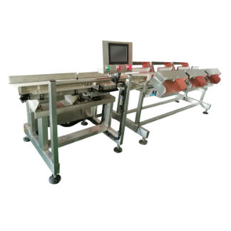食品工业分选设备 - DHWS400*150-4 - Zhuhai dahang intelligent equipment co., LTD - 流程