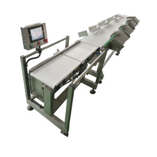 流程分选设备 - DHWS400*150-4 - Zhuhai dahang intelligent equipment co., LTD