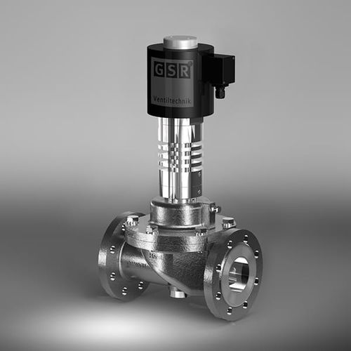 高温电磁阀 - 24DT - GSR Ventiltechnik GmbH & Co. KG - 先导式 / 双通 / NF