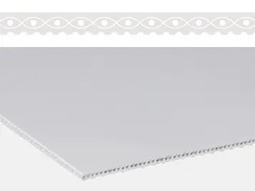 尿烷输送带 - E 3/1 U2/U2 BT/SMT-HACCP-PS - Forbo Siegling GmbH - 聚苯乙烯 / 食品工业 / 工业
