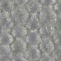 PVC压滤布 - PVC 3644 S - Sanin Filtertechnik GmbH