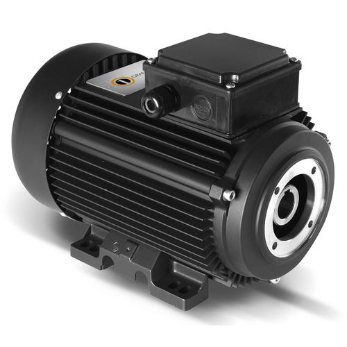 异步电机 - HYDRO Series - ORANGE 1 ELECTRIC MOTORS SPA - 单相 / 三相 / 400V