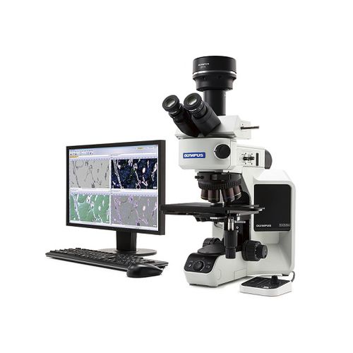 直显微镜 - BX53M - Evident - Olympus Scientific Solutions - 光学 / 测量 / 工业