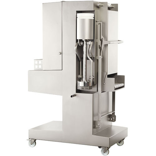 鱼类盐水注射机 - IR 29 - Rühle GmbH Lebensmitteltechnik