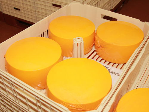 塑料货盘箱 - FIBOSA - 用于奶酪熟化 / 通风