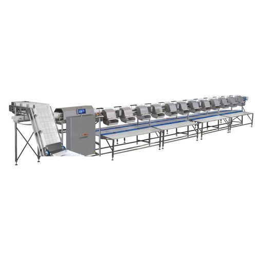 鱼类分级机 - MC Marine - MARELEC Food Technologies BVBA - 肉类 / 带式
