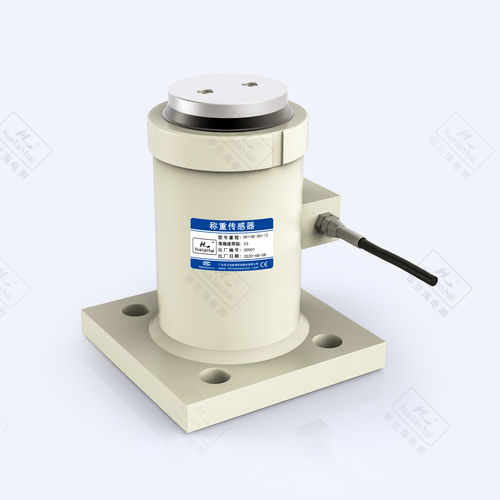压缩型负荷传感器 - DS110E - Guangdong South China Sea Electronic Measuring Tec - 柱式 / 桥式地磅 / IP68