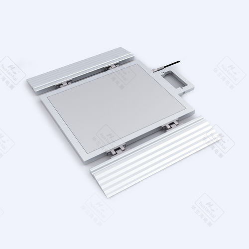 车用轴重秤 - BX101B - Guangdong South China Sea Electronic Measuring Tec - 便携式 / 动态