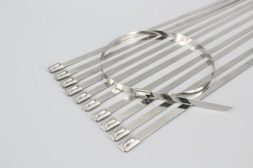 不锈钢电缆扎带 - DM-SS-4.6*100	 - DEMOELE / Wenzhou Duanmeng Electric Co.,Ltd - 塑料