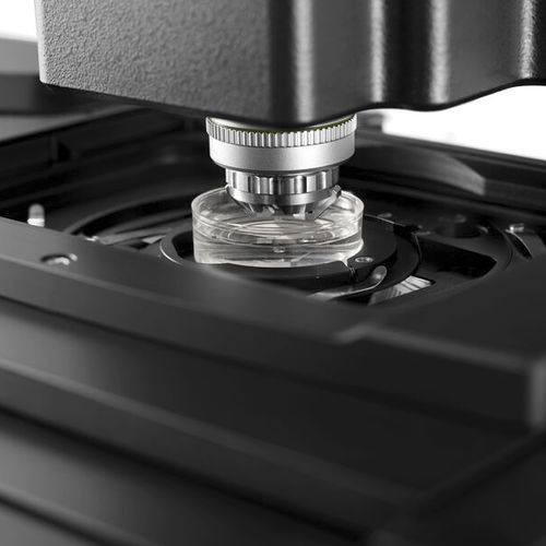 实验室显微镜 - TCS SP8 DLS - Leica Microsystems GmbH/徕卡 - 3D / 共焦 / 高清晰度